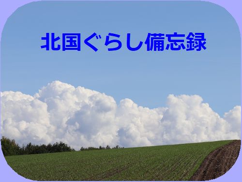 北国の話題